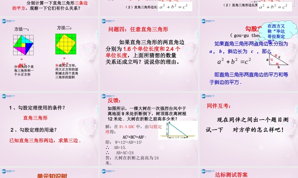 八年级数学上册 1.1 探索勾股定理(一)课件 北师大版 课件