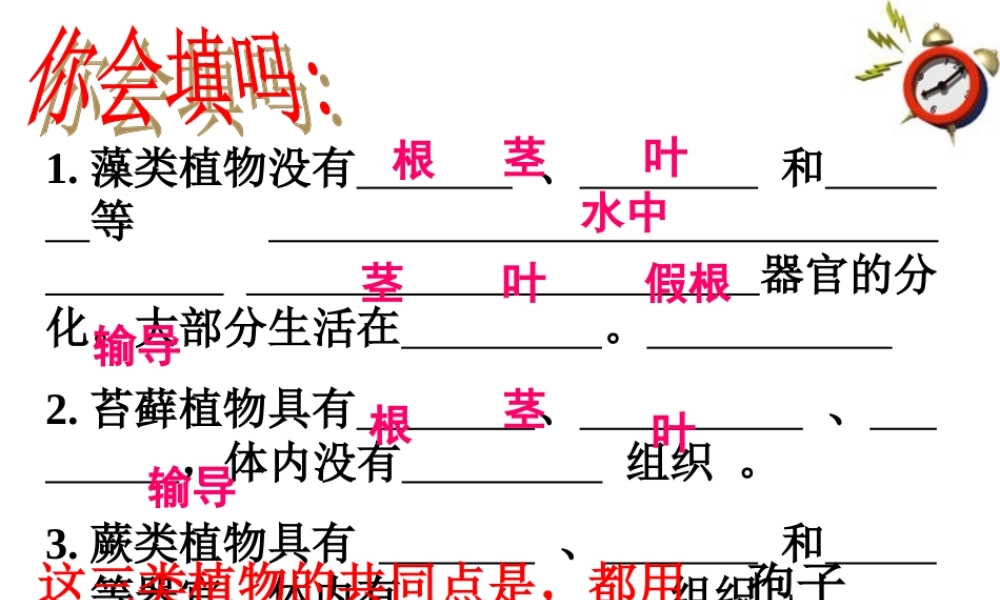 七年级生物上册 第二章第二节种子植物课件 人教新课标版 课件