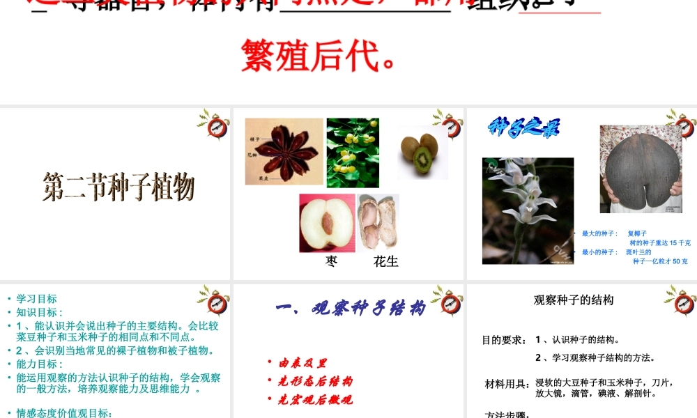 七年级生物上册 第二章第二节种子植物课件 人教新课标版 课件