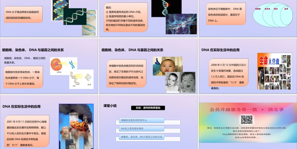 八年级生物上册 第四单元 物种的延续 第四章 生物的遗传与变异 第一节 遗传的物质基础课件(新版)济南版 课件