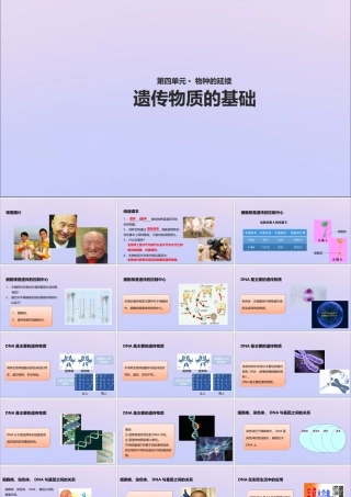 八年级生物上册 第四单元 物种的延续 第四章 生物的遗传与变异 第一节 遗传的物质基础课件(新版)济南版 课件