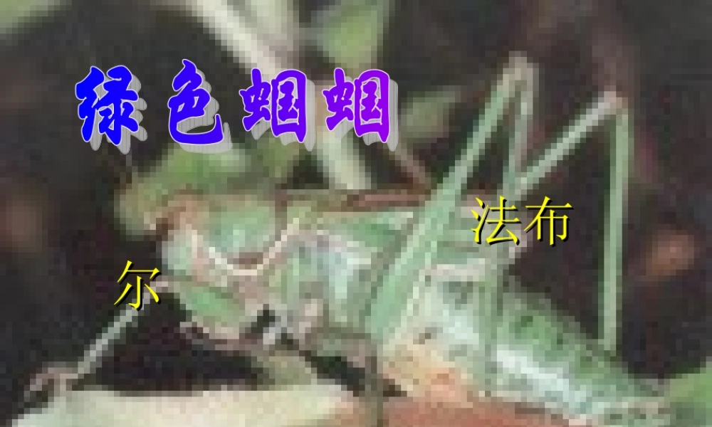 新人教版七年级语文绿色蝈蝈3ppt 课件