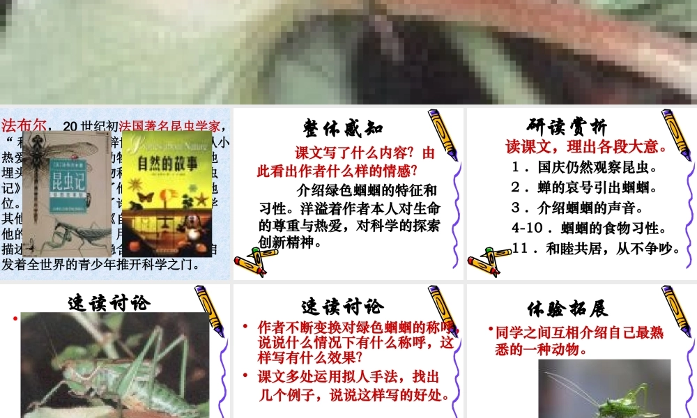 新人教版七年级语文绿色蝈蝈3ppt 课件