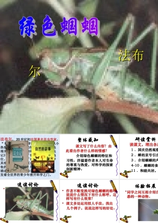 新人教版七年级语文绿色蝈蝈3ppt 课件
