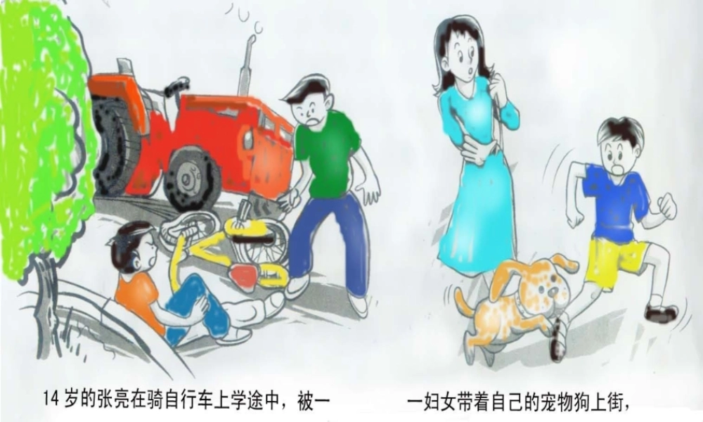 八年级政治上册 法律保护我们的生命健康权课件 鲁教版 课件