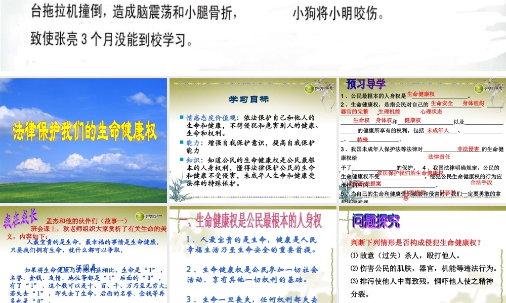 八年级政治上册 法律保护我们的生命健康权课件 鲁教版 课件