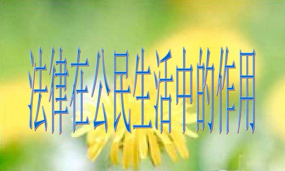 八年级政治上册 法律在公民生活中的作用课件 鲁教版 课件