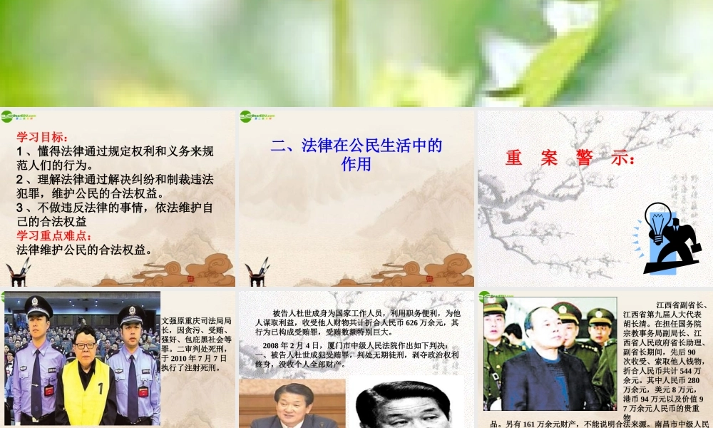 八年级政治上册 法律在公民生活中的作用课件 鲁教版 课件