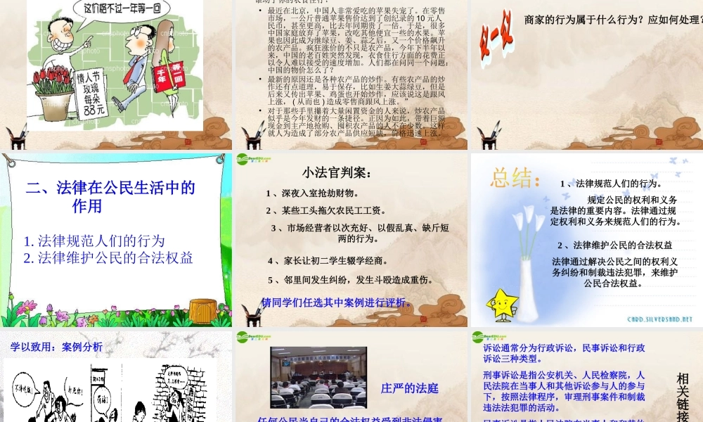 八年级政治上册 法律在公民生活中的作用课件 鲁教版 课件