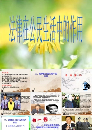 八年级政治上册 法律在公民生活中的作用课件 鲁教版 课件
