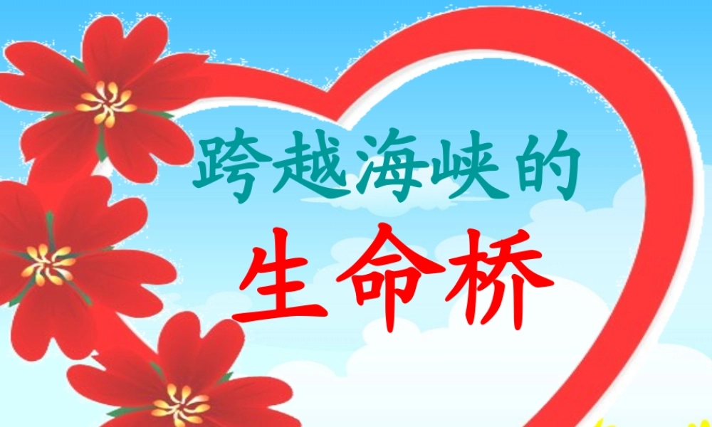 跨越海峡的生命桥 