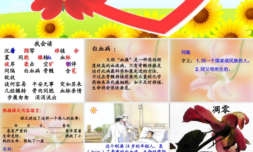 跨越海峡的生命桥 