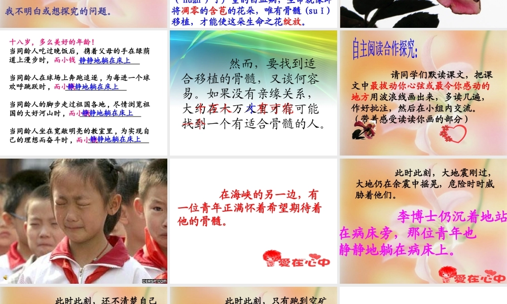 跨越海峡的生命桥 