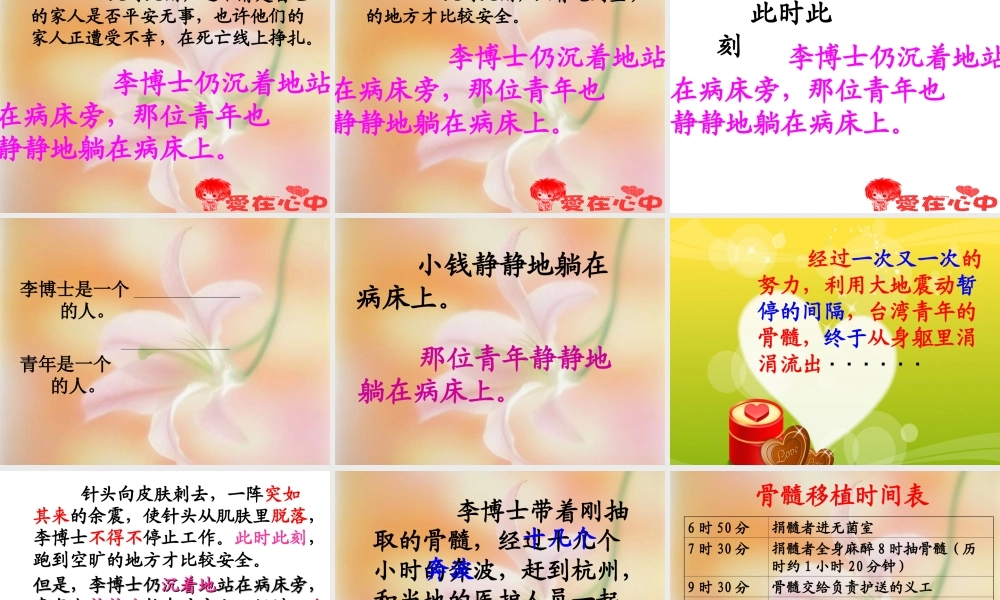 跨越海峡的生命桥 