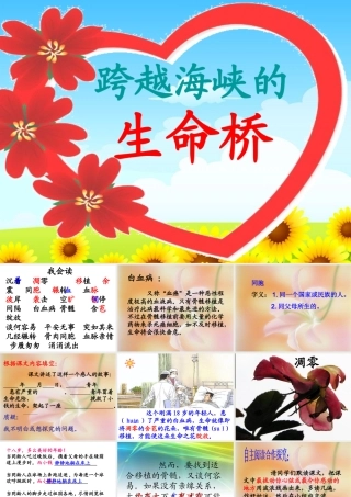跨越海峡的生命桥 