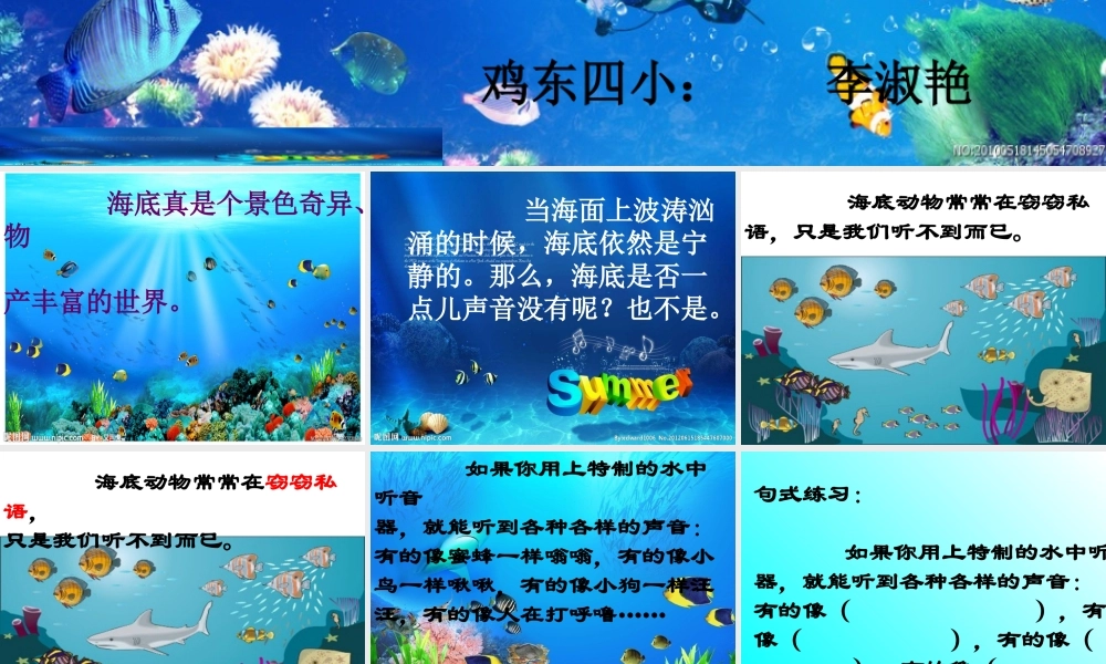 《海底世界》课件