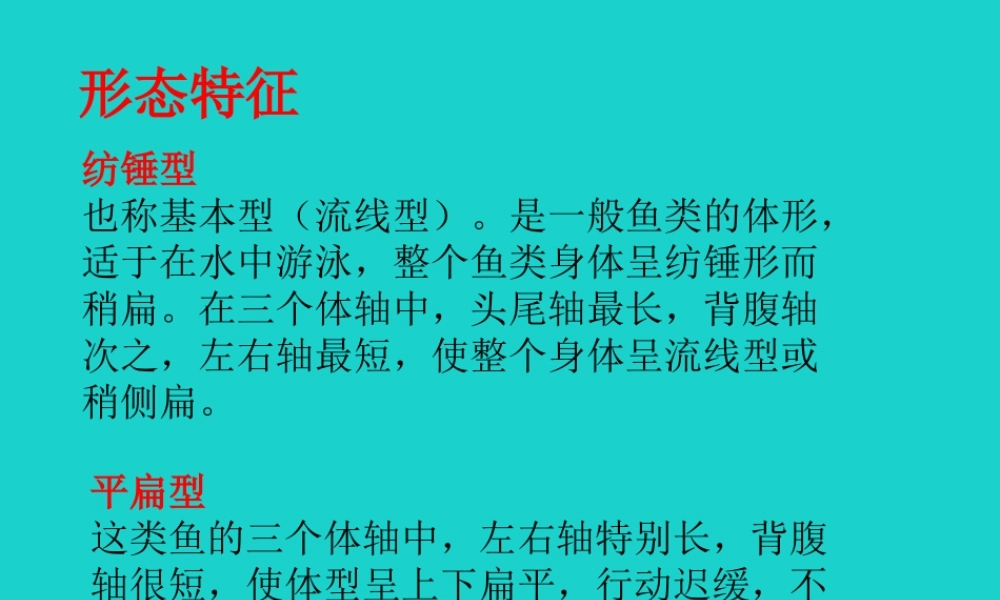八年级生物上册 第七单元 第一章 第四节 鱼类 形态特征课件 鲁科版五四制 课件