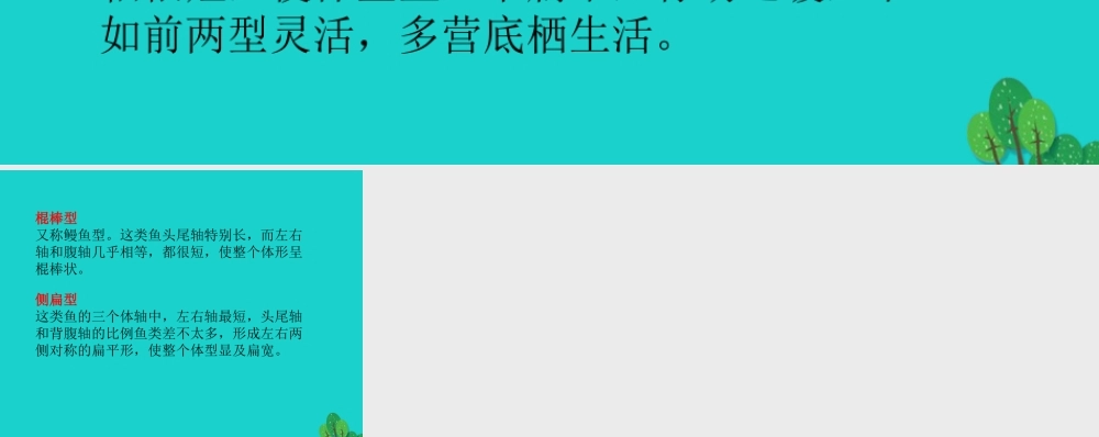 八年级生物上册 第七单元 第一章 第四节 鱼类 形态特征课件 鲁科版五四制 课件