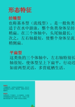 八年级生物上册 第七单元 第一章 第四节 鱼类 形态特征课件 鲁科版五四制 课件