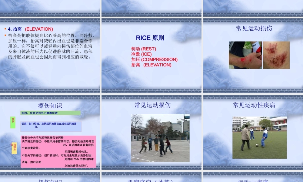 体育运动中常见运动损伤和运动性疾病的预防与处理