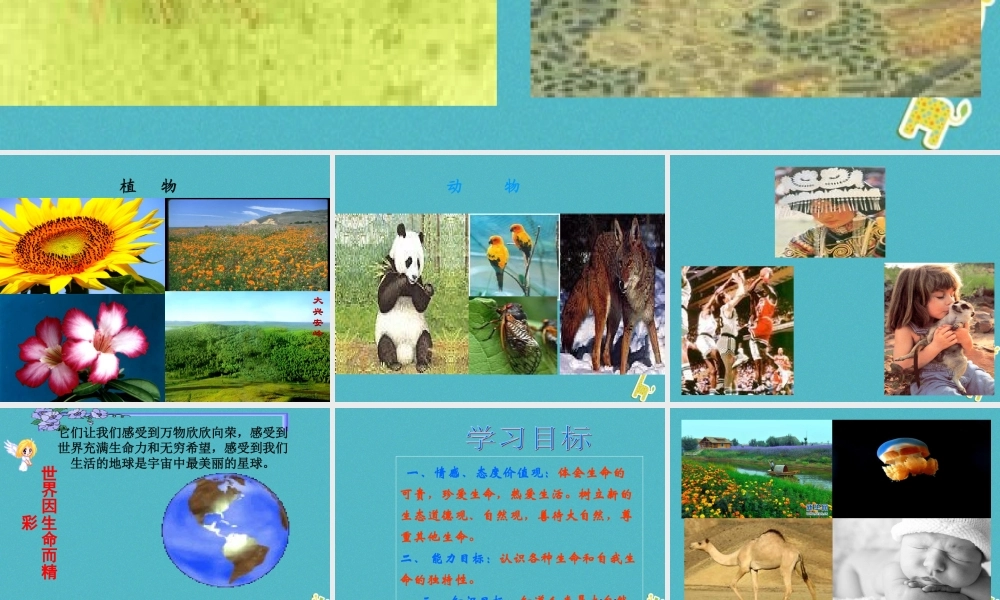 七年级道德与法治下册 第八单元 珍爱生命 热爱生活 第15课 呵护宝贵的生命 第1框 世界因生命而精彩课件 鲁人版六三制 课件