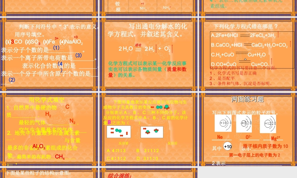 初中化学用语复习课件