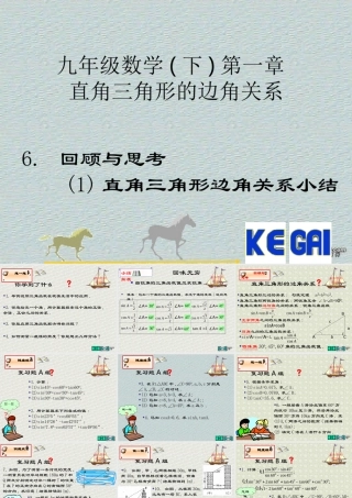回顾与思考1第一章直角三角形边角关系小结 福建省南平地区九年级数学下册第一章 直角三角形整章课件集二 北师大版