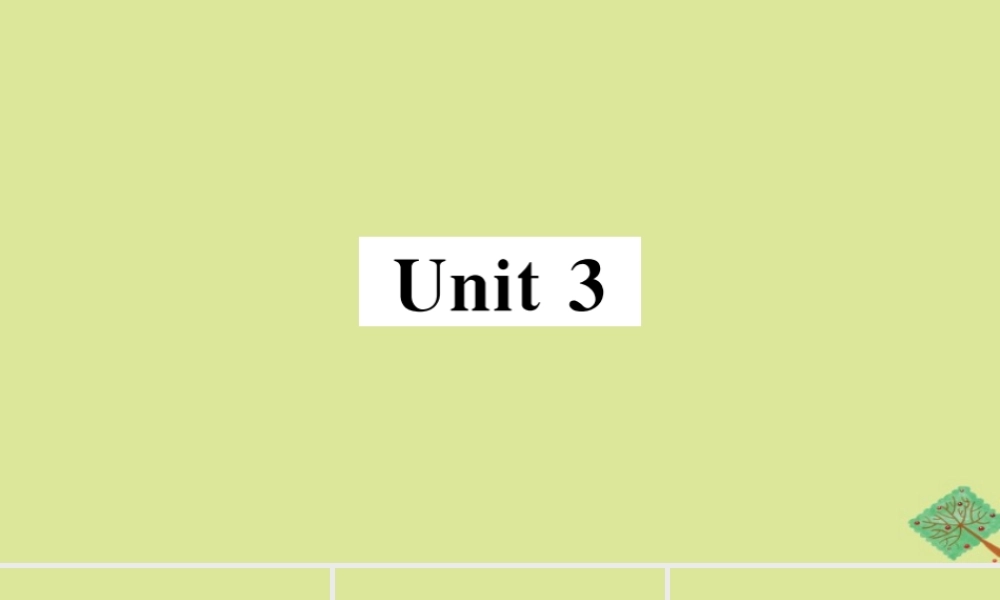 八年级英语上册 Module 4 Planes，ships and trains Unit 3 Language in use(小册子)作业课件 (新版)外研版 课件