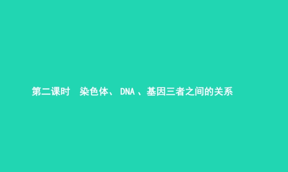 八年级生物上册 第四单元 第四章 第一节 遗传的物质基础(第2课时 染色体 DNA 基因三者之间的关系)课件 (新版)济南版 课件
