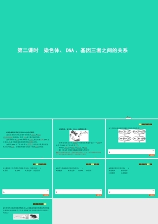 八年级生物上册 第四单元 第四章 第一节 遗传的物质基础(第2课时 染色体 DNA 基因三者之间的关系)课件 (新版)济南版 课件