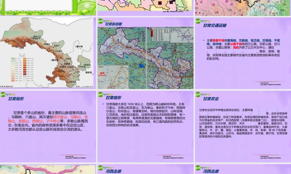 八年级地理下册 黄河万里行-丝路咽喉-甘肃课件 湘教版 课件