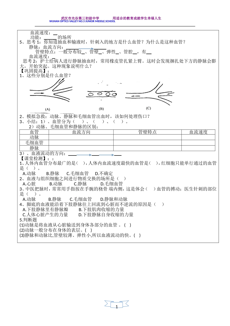 血流的管道——血管导学案_第3页