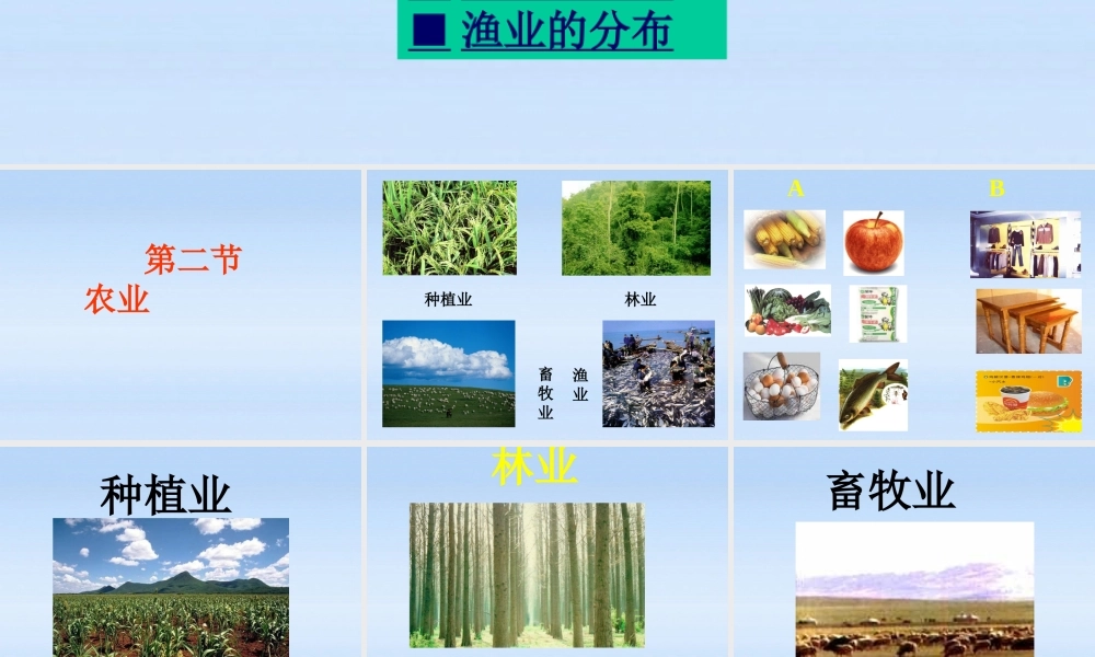 八年级地理上册 第四单元经济与文化 农业的分布课件 商务星球版 课件