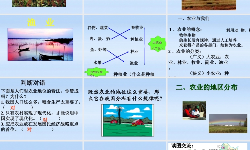 八年级地理上册 第四单元经济与文化 农业的分布课件 商务星球版 课件
