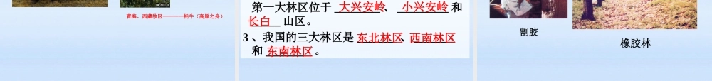 八年级地理上册 第四单元经济与文化 农业的分布课件 商务星球版 课件