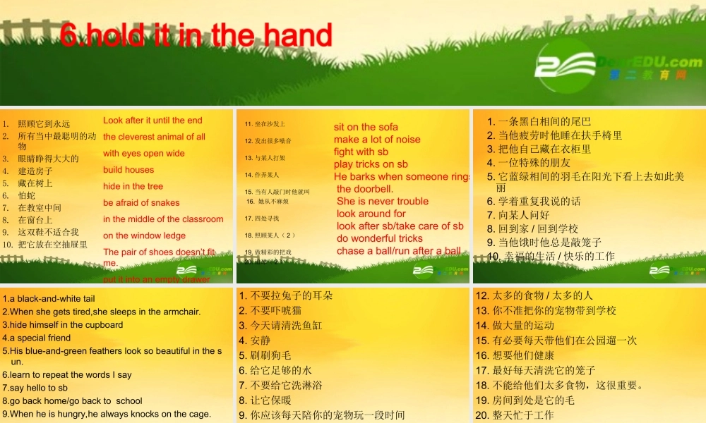 七年级英语下册 unit6phrase课件 牛津版 课件