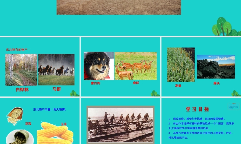 七年级语文下册 第二单元 7土地的誓言课件 七年级语文下册 第二单元 7土地的誓言课件+素材 新人教版-2