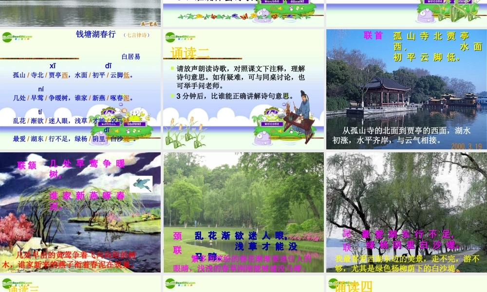 九年级语文下册 钱塘湖春行课件 语文版 课件