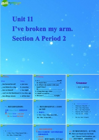 九年级英语 Unit 11 I ve broken my armSection A课件 鲁教版 课件