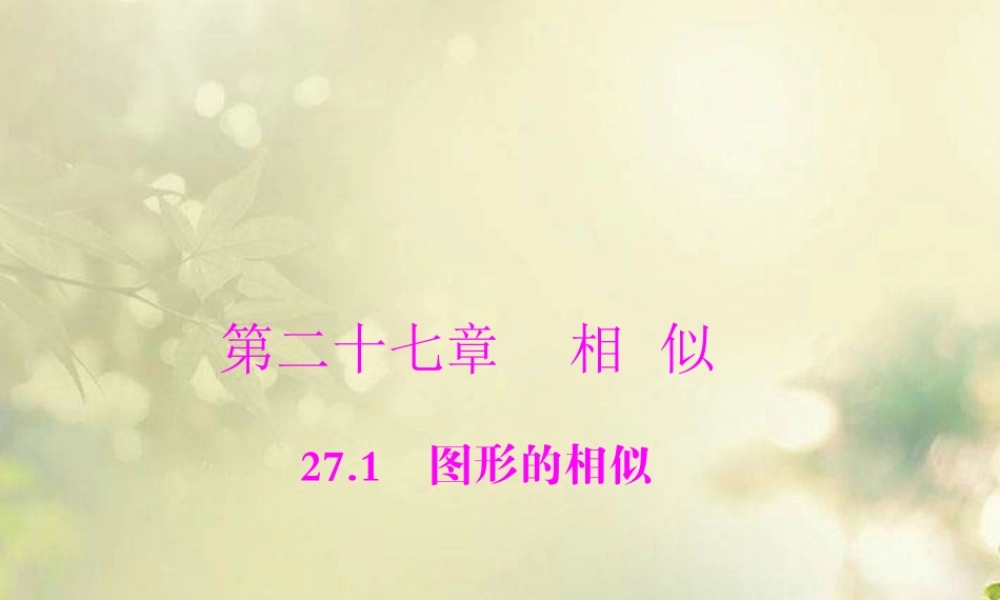 九年级数学下册 第二十七章 相似 271 图形的相似配套课件 新人教版 课件