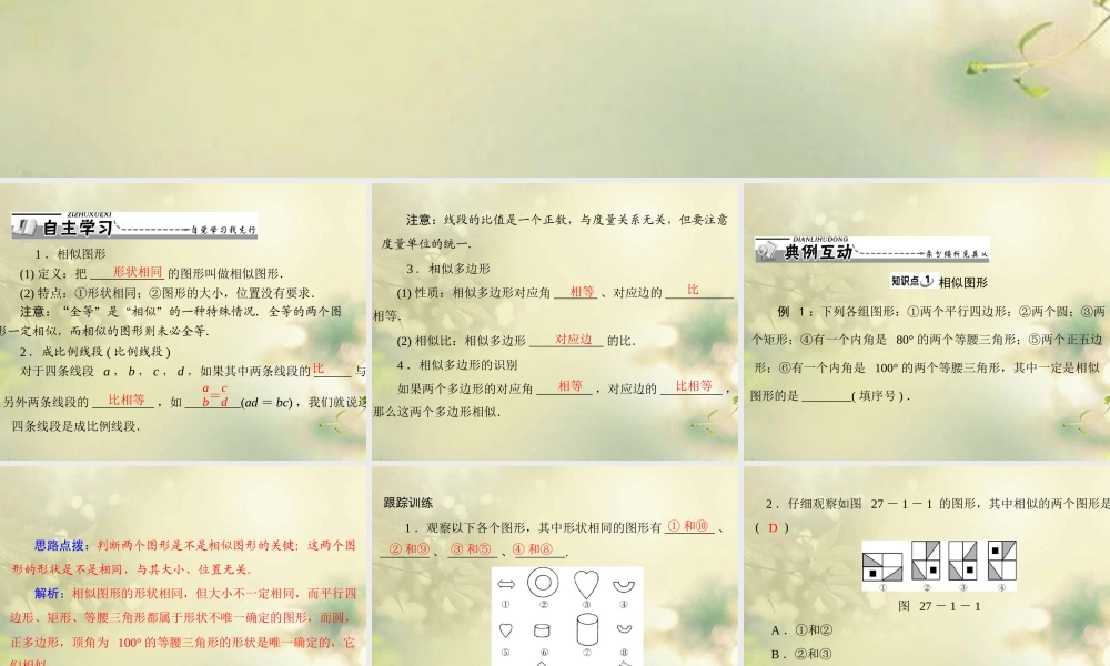 九年级数学下册 第二十七章 相似 271 图形的相似配套课件 新人教版 课件