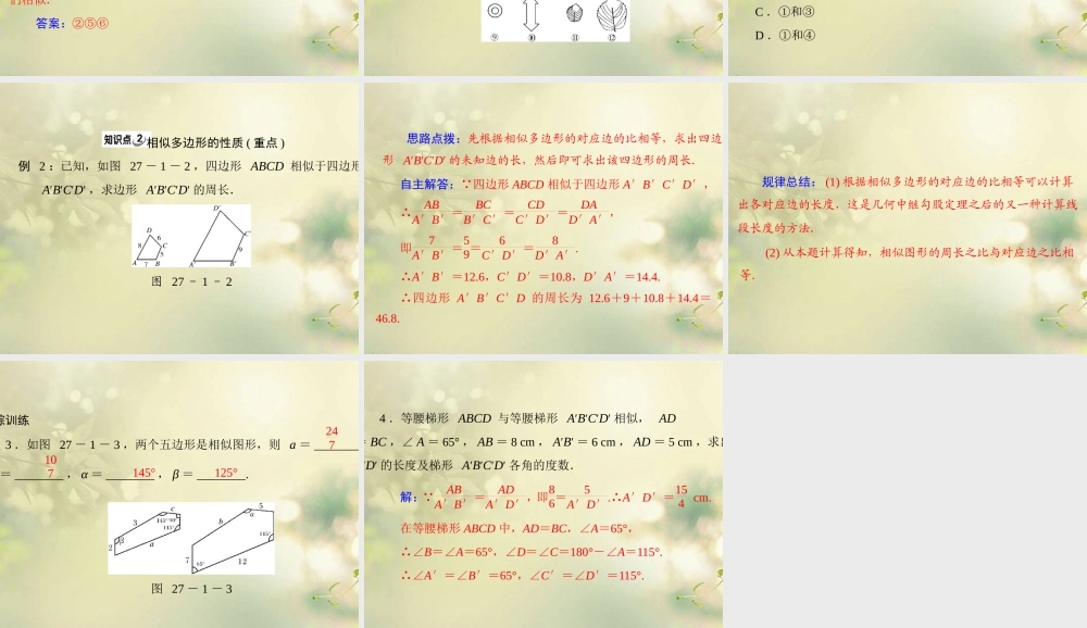 九年级数学下册 第二十七章 相似 271 图形的相似配套课件 新人教版 课件