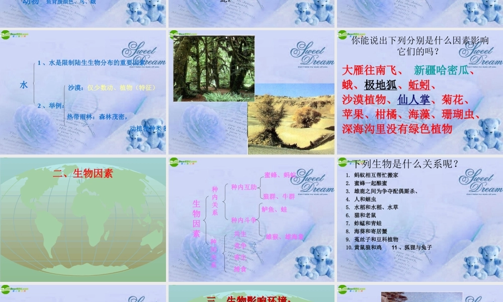 七年级生物上册 第一章生物与环境课件 苏教版 课件