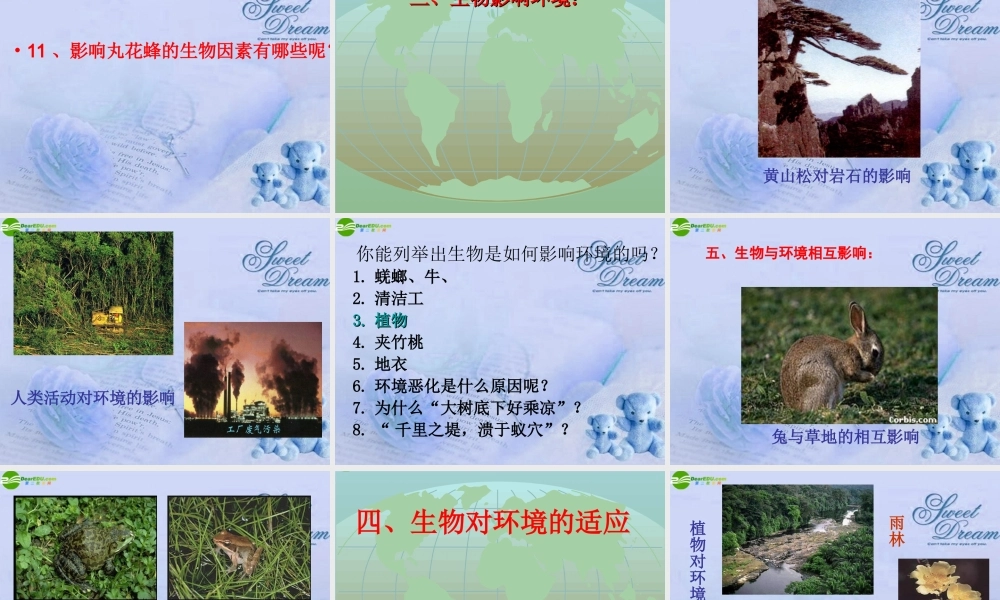七年级生物上册 第一章生物与环境课件 苏教版 课件