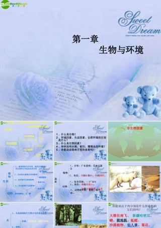 七年级生物上册 第一章生物与环境课件 苏教版 课件