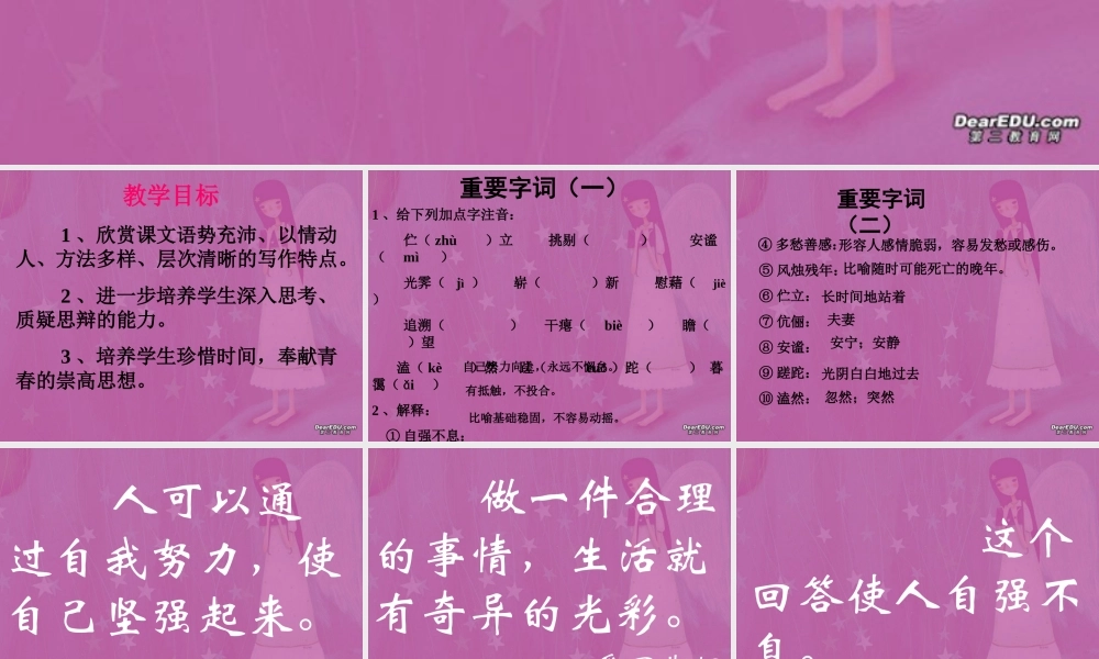 人是什么高三语文课件2 课件