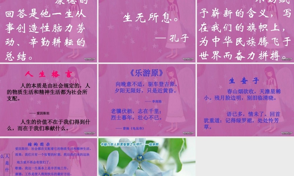 人是什么高三语文课件2 课件