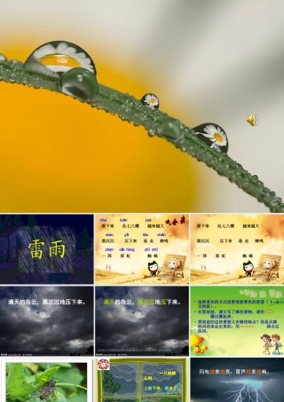 人教版小学语文二年级《雷雨》PPT课件(1)