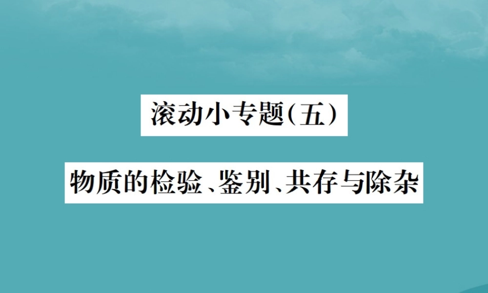 中考化学复习 滚动小专题(五)物质的检验、鉴别、共存与除杂课件 鲁教版 课件