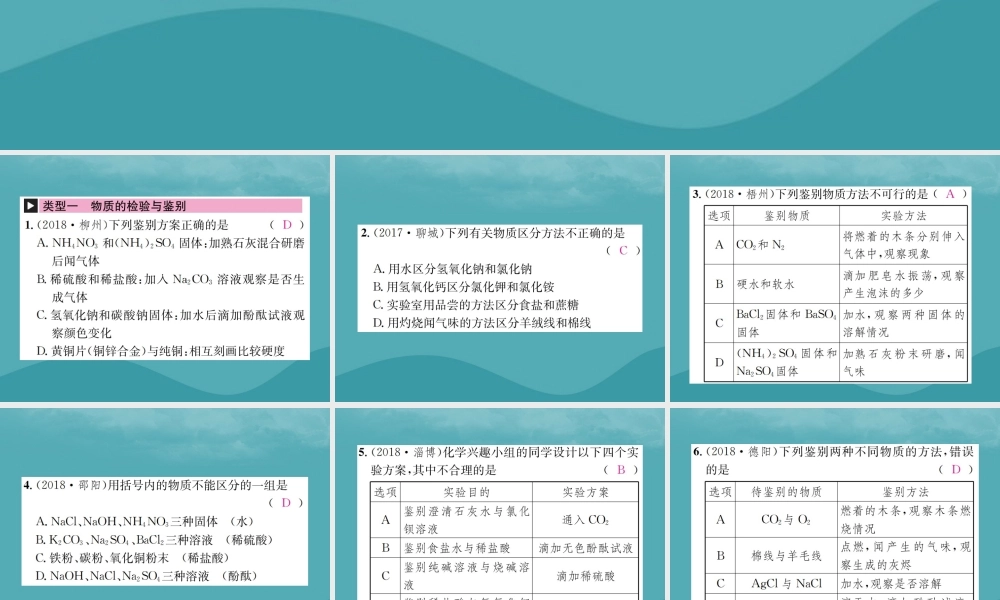 中考化学复习 滚动小专题(五)物质的检验、鉴别、共存与除杂课件 鲁教版 课件